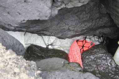 İnsan Doğayla Çöpler ve Çöplerle Tanışıyor. Yüksek kalite fotoğraf