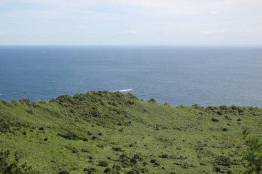 Kore 'nin Jeju Adası kıyısındaki Ormanlı Dağ Ufku. Yüksek kalite fotoğraf
