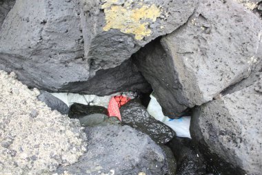 İnsan Doğayla Çöpler ve Çöplerle Tanışıyor. Yüksek kalite fotoğraf