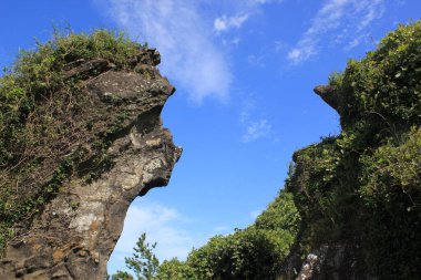 Rocky Cliffside, Güney Kore 'deki Bitkiler ve Mağaralar. Yüksek kalite fotoğraf