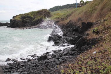 Jeju Adası 'nda dalgalar sahile çarpıyor. Yüksek kalite fotoğraf