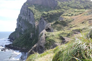 Güney Kore 'de okyanus kıyısında bir uçurum kenarında. Yüksek kalite fotoğraf