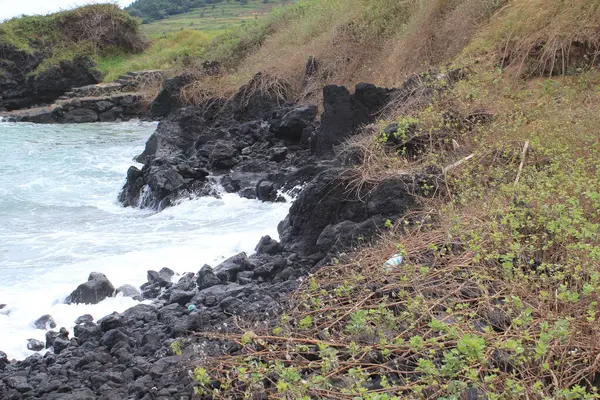 Jeju Adası 'nda dalgalar sahile çarpıyor. Yüksek kalite fotoğraf