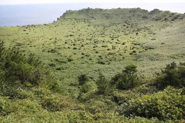 Kore 'nin Jeju Adası kıyısındaki Ormanlı Dağ Ufku. Yüksek kalite fotoğraf