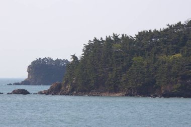Güney Kore 'deki Taean Sinduri Sahili. Yüksek kalite fotoğraf