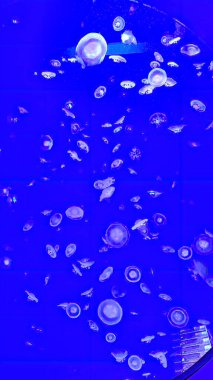 Siyah arkaplanda mavi su damlası