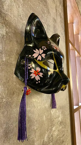 Güzel beyaz bir kedinin yakın plan çekimi.