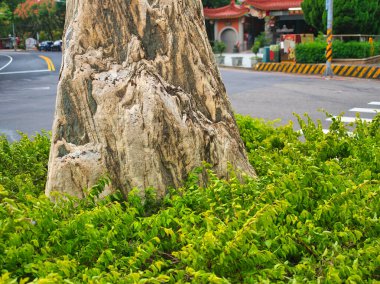 A massive, textured stone stands in the center of a small roundabout surrounded by well-maintained greenery. clipart