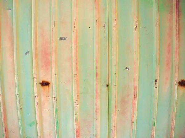 Tek bir sarmaşık yıpranmış, pastel renkli metal bir çite tırmanır, pas lekeleri ve solmuş boyaları vardır..