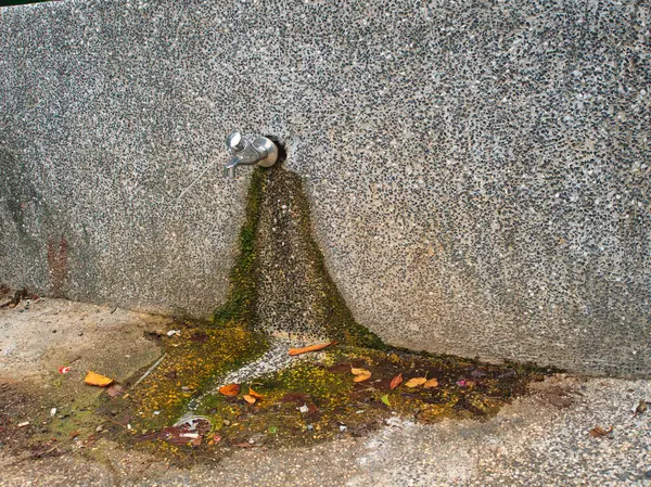 Küçük bir su musluğu taşlı bir duvara sızar ve yerde yosun ve leke bırakır..