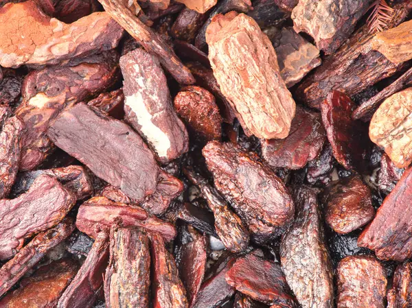 Koyu kahverengi ve siyah ahşap parçalarının detaylı görüntüsü kaba dokular ve doğal düzensizlikler gösteriyor..