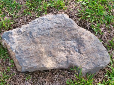 Yeşillik ve taşın doğal dokularını harmanlayan, yemyeşil çimen tarlasına gömülü büyük düz bir taş..