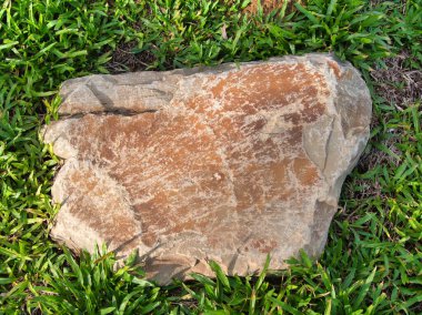 Yeşillik ve taşın doğal dokularını harmanlayan, yemyeşil çimen tarlasına gömülü büyük düz bir taş..