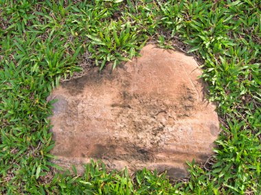 Yeşillik ve taşın doğal dokularını harmanlayan, yemyeşil çimen tarlasına gömülü büyük düz bir taş..