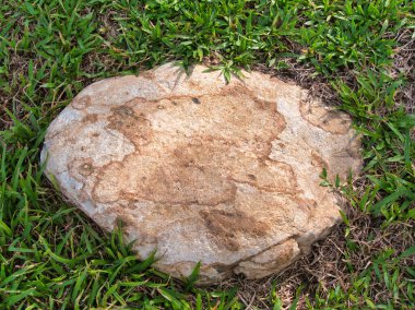 Yeşillik ve taşın doğal dokularını harmanlayan, yemyeşil çimen tarlasına gömülü büyük düz bir taş..