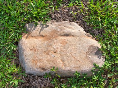 Yeşillik ve taşın doğal dokularını harmanlayan, yemyeşil çimen tarlasına gömülü büyük düz bir taş..