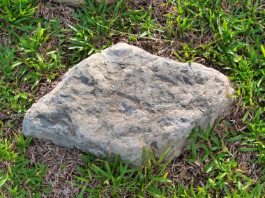 Yeşillik ve taşın doğal dokularını harmanlayan, yemyeşil çimen tarlasına gömülü büyük düz bir taş..