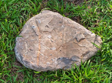 Yeşillik ve taşın doğal dokularını harmanlayan, yemyeşil çimen tarlasına gömülü büyük düz bir taş..