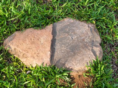 Yeşillik ve taşın doğal dokularını harmanlayan, yemyeşil çimen tarlasına gömülü büyük düz bir taş..