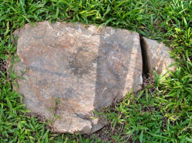 Yeşillik ve taşın doğal dokularını harmanlayan, yemyeşil çimen tarlasına gömülü büyük düz bir taş..