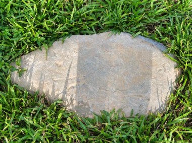 Yeşillik ve taşın doğal dokularını harmanlayan, yemyeşil çimen tarlasına gömülü büyük düz bir taş..