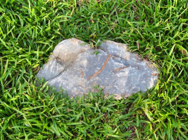 Yeşillik ve taşın doğal dokularını harmanlayan, yemyeşil çimen tarlasına gömülü büyük düz bir taş..