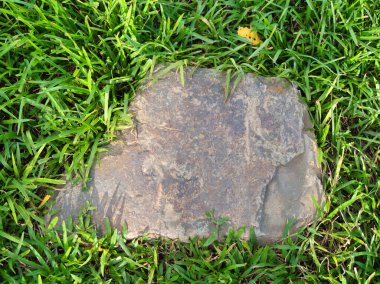 Yeşillik ve taşın doğal dokularını harmanlayan, yemyeşil çimen tarlasına gömülü büyük düz bir taş..