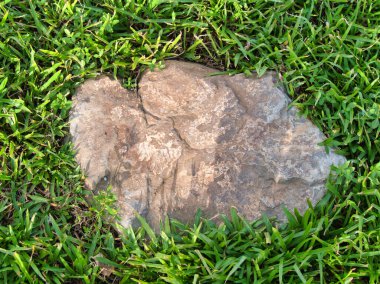 Yeşillik ve taşın doğal dokularını harmanlayan, yemyeşil çimen tarlasına gömülü büyük düz bir taş..