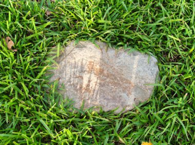 Yeşillik ve taşın doğal dokularını harmanlayan, yemyeşil çimen tarlasına gömülü büyük düz bir taş..