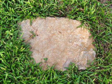 Yeşillik ve taşın doğal dokularını harmanlayan, yemyeşil çimen tarlasına gömülü büyük düz bir taş..