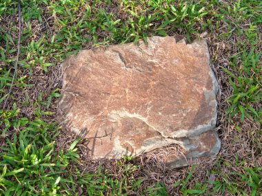 Yeşillik ve taşın doğal dokularını harmanlayan, yemyeşil çimen tarlasına gömülü büyük düz bir taş..