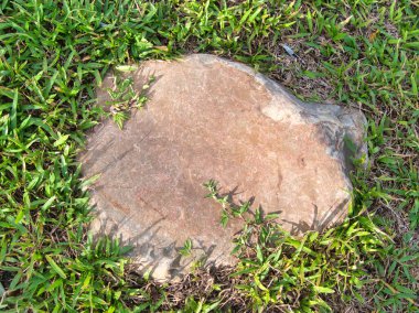 Yeşillik ve taşın doğal dokularını harmanlayan, yemyeşil çimen tarlasına gömülü büyük düz bir taş..