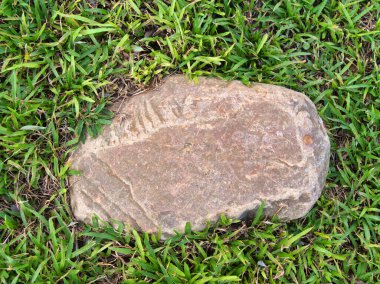 Yeşillik ve taşın doğal dokularını harmanlayan, yemyeşil çimen tarlasına gömülü büyük düz bir taş..