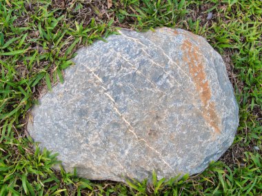 Yeşillik ve taşın doğal dokularını harmanlayan, yemyeşil çimen tarlasına gömülü büyük düz bir taş..