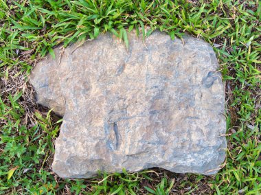 Yeşillik ve taşın doğal dokularını harmanlayan, yemyeşil çimen tarlasına gömülü büyük düz bir taş..