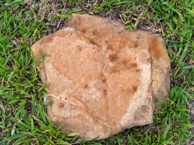 Yeşillik ve taşın doğal dokularını harmanlayan, yemyeşil çimen tarlasına gömülü büyük düz bir taş..