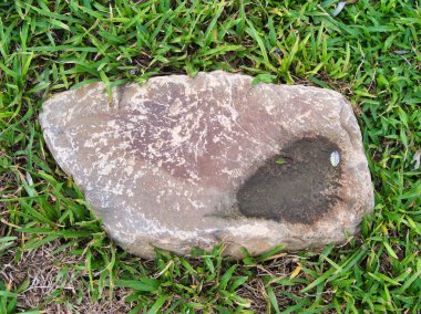 Yeşillik ve taşın doğal dokularını harmanlayan, yemyeşil çimen tarlasına gömülü büyük düz bir taş..