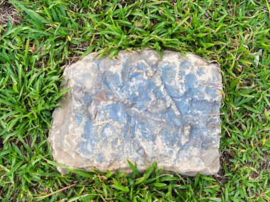 Yeşillik ve taşın doğal dokularını harmanlayan, yemyeşil çimen tarlasına gömülü büyük düz bir taş..