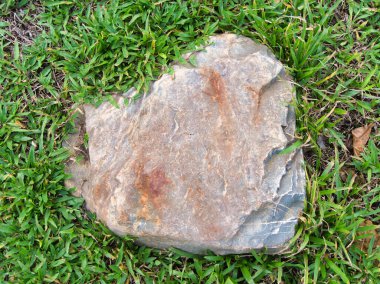 Yeşillik ve taşın doğal dokularını harmanlayan, yemyeşil çimen tarlasına gömülü büyük düz bir taş..