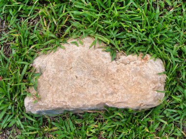 Yeşillik ve taşın doğal dokularını harmanlayan, yemyeşil çimen tarlasına gömülü büyük düz bir taş..