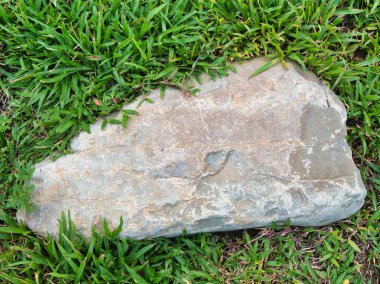 Yeşillik ve taşın doğal dokularını harmanlayan, yemyeşil çimen tarlasına gömülü büyük düz bir taş..