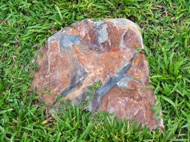 Yeşillik ve taşın doğal dokularını harmanlayan, yemyeşil çimen tarlasına gömülü büyük düz bir taş..