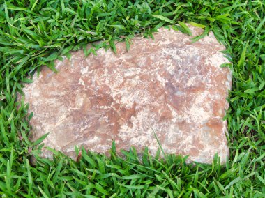 Yeşillik ve taşın doğal dokularını harmanlayan, yemyeşil çimen tarlasına gömülü büyük düz bir taş..