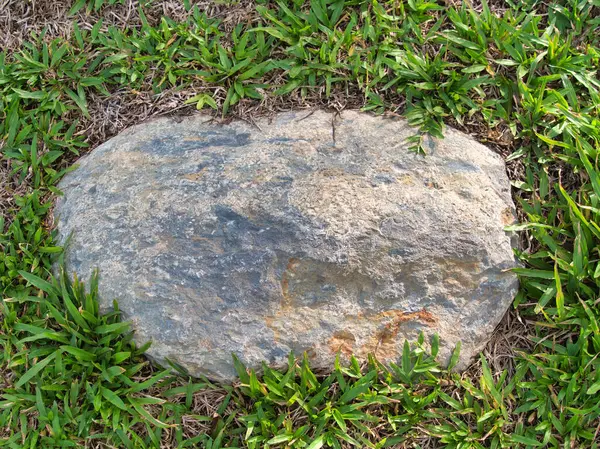 Yeşillik ve taşın doğal dokularını harmanlayan, yemyeşil çimen tarlasına gömülü büyük düz bir taş..