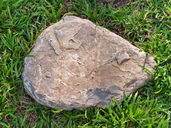 Yeşillik ve taşın doğal dokularını harmanlayan, yemyeşil çimen tarlasına gömülü büyük düz bir taş..