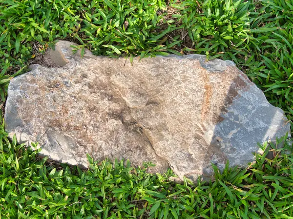 Yeşillik ve taşın doğal dokularını harmanlayan, yemyeşil çimen tarlasına gömülü büyük düz bir taş..