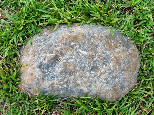 Yeşillik ve taşın doğal dokularını harmanlayan, yemyeşil çimen tarlasına gömülü büyük düz bir taş..