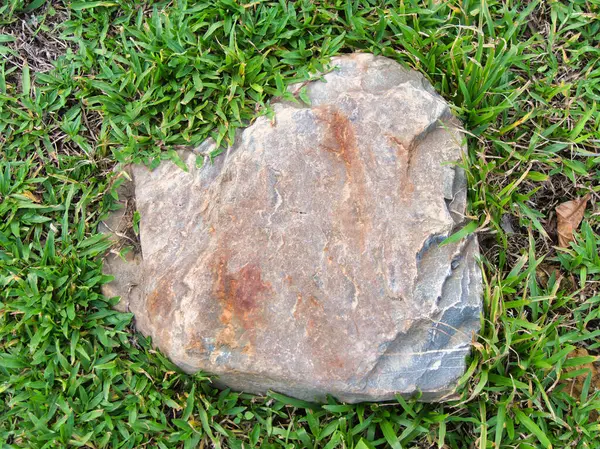 Yeşillik ve taşın doğal dokularını harmanlayan, yemyeşil çimen tarlasına gömülü büyük düz bir taş..