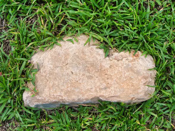 Yeşillik ve taşın doğal dokularını harmanlayan, yemyeşil çimen tarlasına gömülü büyük düz bir taş..