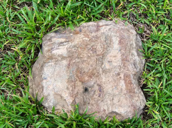 Yeşillik ve taşın doğal dokularını harmanlayan, yemyeşil çimen tarlasına gömülü büyük düz bir taş..